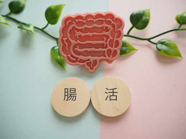 腸活のススメ！腸内細菌と食事の関係をお話します